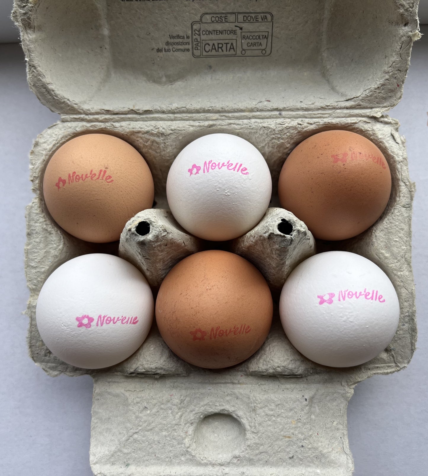 New Eggs