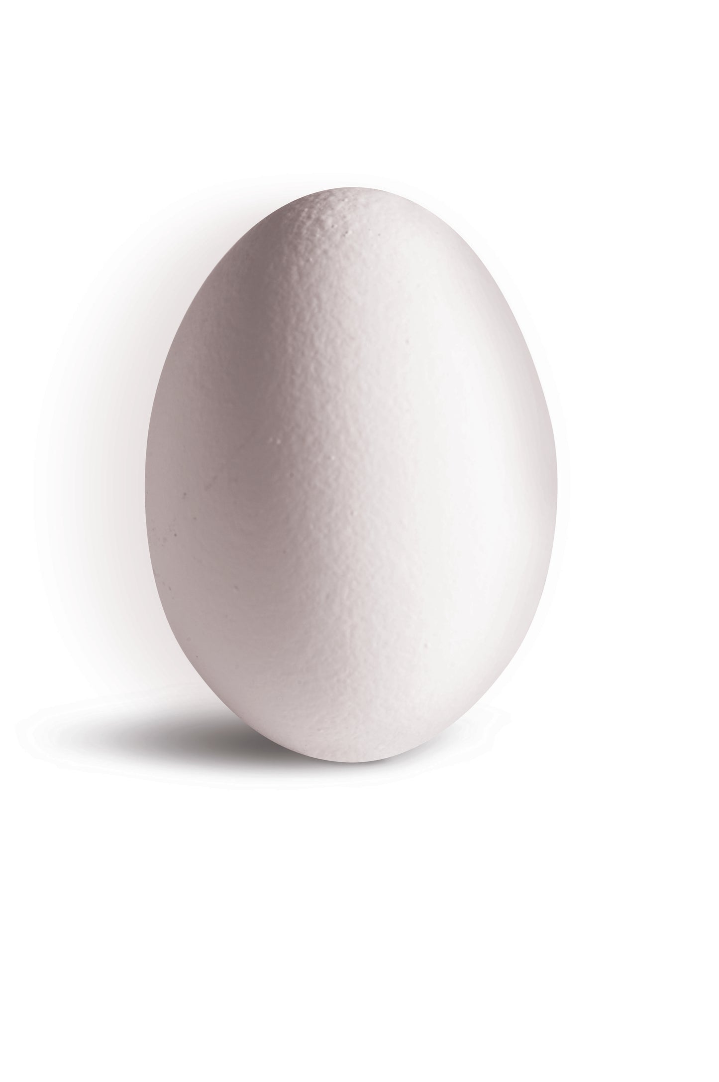 Nobiluovo White Eggs